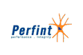 Perfint Engineering